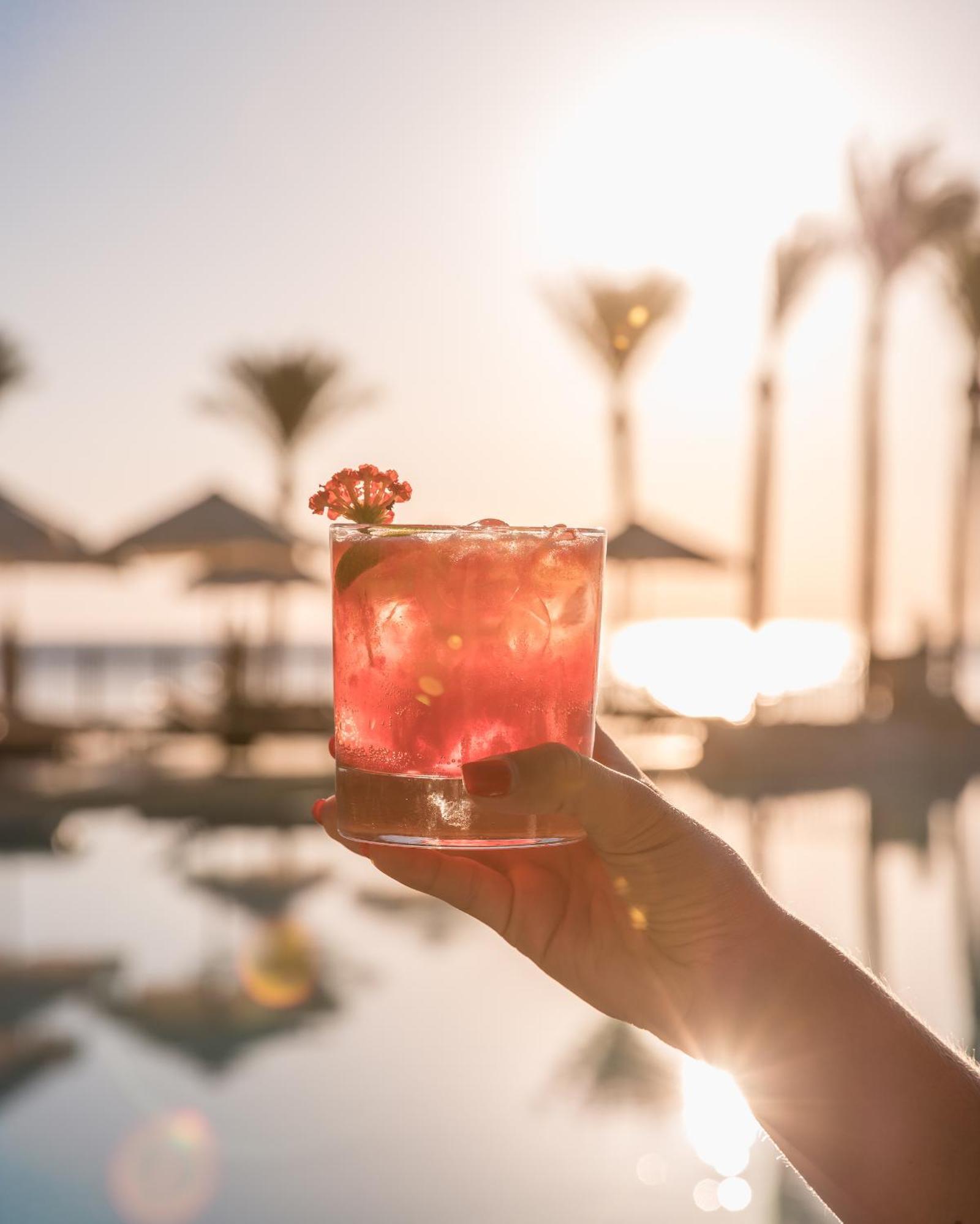 The Makadi Spa Hotel - Couples Only 18 Years Plus Hurghada Exteriör bild A hand holding a glass of a cocktail